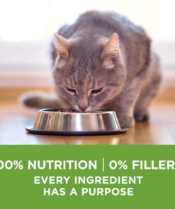 Purina ONE Natural, Low Fat, Weight Control, Indoor Dry Cat Food, +Plus Indoor Advantage - 7 lb. Bag Turkey 7.00 Pound (Pack of 1) 18 714PbbT9JS 2