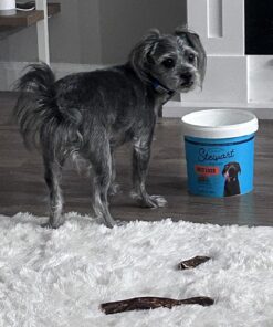 Stewart Freeze Dried Dog Treats, Beef Liver, Grain Free & Gluten Free, 14 Ounce Resealable Tub, Single Ingredient, Made in USA, Dog Training Treats 14 Ounce (Pack of 1) 29 714QJZKuipL 1