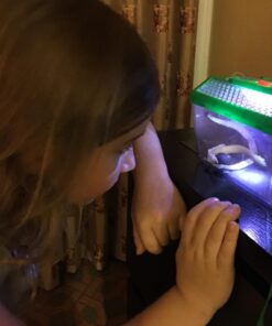 Nature Bound NB508 Bug Catcher Vacuum with Light Up Critter Habitat Case for Backyard Exploration - Complete kit for Kids Vacuum with Case 49 714RM0WXC8L