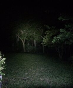 Bike Lights for Night Riding, USB Rechargeable Shark 300 Ultra Bright LED Bike Lights Front and Back Safety Tail Light Included, Bicycle Light Compatible with Mountain, Road, Kids & City Bicycles Black Combo 75 714RsOTgijL