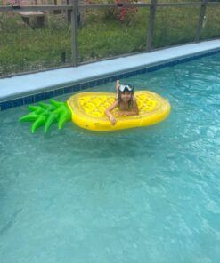 VICKEA Inflatable Pool Floats for Kids and Adults, Large Water Inflatable Pineapple Pool Float for Swimming Pool 42 714V1PMbQsL