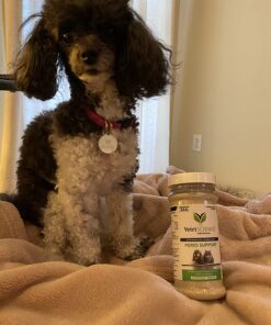 VETRISCIENCE Perio Support Teeth Cleaning Dental Powder for Dogs and Cats, Up to 192 Servings – Clinically Proven to Reduce Plaque and Tartar Perio Powder 29 714V5LS9KAL