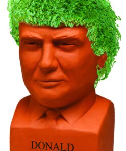 Chia Pet Donald Trump President with Seed Pack, (8" x 4.5" x 7.3") Decorative Pottery Planter, Easy to Do and Fun to Grow, Novelty Gift, Perfect for Any Occasion 28 714V8MHq 4L