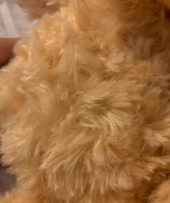 Aurora® Snuggly Tubbie Wubbies™ Lion Stuffed Animal - Comforting Companion - Imaginative Play - Brown 12 Inches 38 714XTRmYQpL