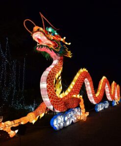 Nikon AF-S FX NIKKOR 16-35mm f/4G ED Vibration Reduction Zoom Lens with Auto Focus for Nikon DSLR Cameras Lens Only 42 714YOdFSa0L