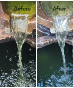 EasyCare FounTec Algaecide and Clarifier, 8 oz. Bottle 16 714Ztre7HwL