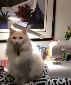 SINGER | Tradition 2277 Sewing Machine with 97 Stitch Applications, & Easy-To-Use-Free-Arm - Perfect for Beginners - Sewing Made Easy 23 stitches 26 714aKbowkLL