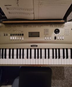 QMG Piano Stickers for 49/61/ 76/88 Key Keyboards – Transparent and Removable; Made in USA Sticker 29 714aTbzjSSL