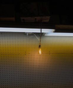 Lutron Caseta Smart Lighting Switch for All Bulb Types or Fans | Neutral Wire Required | PD-6ANS-WH | White 1 Pack Smart Switch 39 714ahofC4L