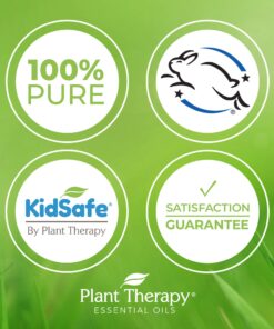 Plant Therapy Tea Tree Essential Oil 100% Pure, Undiluted, Natural Aromatherapy, Therapeutic Grade 10 mL (1/3 oz) 12 714bzs8UNEL