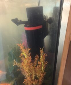 MarineLand Magnum Polishing Internal Canister Filter, For aquariums Up To 97 Gallons, 10.5 IN (ML90770) 43 714cY0MVJVL