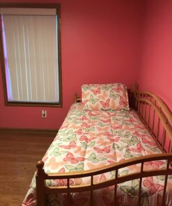 Amazon Basics Kid's Easy Care Microfiber Bed-in-a-Bag 5-Piece Bedding Set, Twin, Butterfly Friends 19 714eXAnuwCL