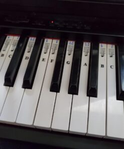 QMG Piano Stickers for 49/61/ 76/88 Key Keyboards – Transparent and Removable; Made in USA Sticker 36 714f3kfwUwL