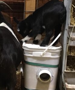 RentACoop 20lb BPA-Free Chicken Feeder with Large Ports - Includes Lid, Anti-Roost Cone, Ports, Rain Hoods - Suitable for Chickens - Corner Placement 34 714fhnOIAL