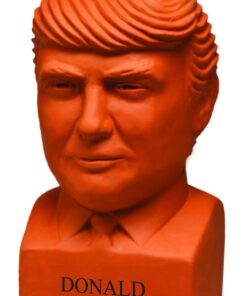 Chia Pet Donald Trump President with Seed Pack, (8" x 4.5" x 7.3") Decorative Pottery Planter, Easy to Do and Fun to Grow, Novelty Gift, Perfect for Any Occasion 27 714fwj9i L