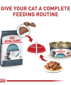 Royal Canin Feline Care Nutrition Hairball Care Dry Cat Food, 3 lb bag 3 Pound (Pack of 1) 26 714hrFDR3BL 1