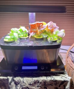 AeroGarden Salad Greens Mix Seed Pod Kit, 7 pod 47 714ioPaCBnL