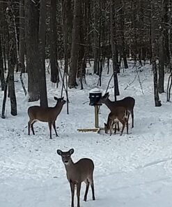 Moultrie Feed Station, Choose Model Feed Station II 39 714ktb80DiL