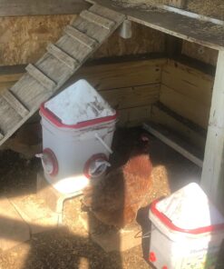 RentACoop 20lb BPA-Free Chicken Feeder with Large Ports - Includes Lid, Anti-Roost Cone, Ports, Rain Hoods - Suitable for Chickens - Corner Placement 28 714n4iRTFdL