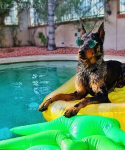 VICKEA Inflatable Pool Floats for Kids and Adults, Large Water Inflatable Pineapple Pool Float for Swimming Pool 37 714nczB1diL