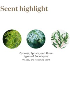 Young Living R.C. Essential Oil 5ml - Invigorating Blend with Eucalyptus, Myrtle, and Pine - 100% Pure, Therapeutic-Grade Essential Oils for Diffusion or Topical Use R.C. 0.17 Fl Oz (Pack of 1) 10 714rCj dZmL