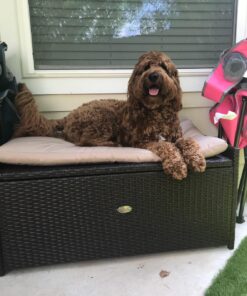 Victoria Young Resin Wicker Deck Box Storage Bench Container with Seat and Cushion Indoor and Outdoor Use, 60 Gallon, Espresso Brown 16 714tFUVEpZL