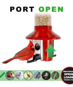 Roamwild PestOff Red Squirrel Proof Cardinal Bird Feeder Mixed Seed Sunflower Heart Version - RED - 3LBS Seed Capacity – 20.5”x7.5”x7.5” (w/Hanger) 20 714tZg7TPL