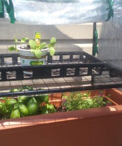 Gardman R687 4-Tier Mini Greenhouse, 27" Long x 18" Wide x 63" High,Black 48 714ukrzqghL 1