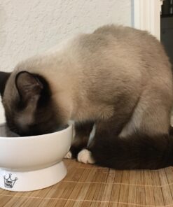 Necoichi Raised Cat Water Bowl, Elevated, with Measurement Lines, Dishwasher and Microwave Safe (Cat, Regular) 44 714vSc2UFNL