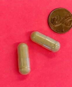 Garden of Life Multivitamin for Women, Vitamin Code Women's Multi, Whole Food Womens Multi, Vitamins, Iron, Folate not Folic Acid & Probiotics for Womens Energy, Vegetarian Supplements, 120 Capsules 120 Count (Pack of 1) 47 714wN6CaTgL 1