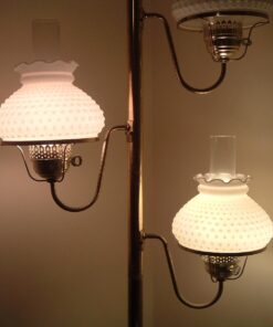 Bioluz LED 40 Watt LED Light Bulbs 2700K Warm White 6 Watts = 40W Non-Dimmable A19 LED Light Bulbs 6 Pack 6 Count (Pack of 1) 31 715 NksvS7L