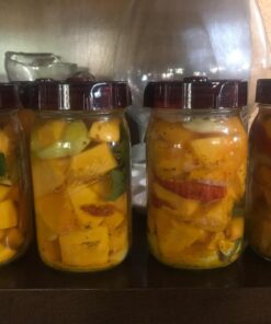 Fermenting Lids for wide mouth mason jars. 4 waterless airlock fermentation lids kit. Easy Grip fermenter lid with Oxygen Pump automatically Vents air. Tracks ferment date. (4 Lids + Pump) 42 7150bkhoPyL