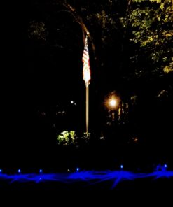 NEWOTE 10pcs Blue LED Outdoor Steel Garden Solar Powered Landscape Light Lamp 10 11 71524yhNMZL