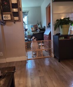 Bona Multi-Surface Floor Polish - 32 fl oz - High Gloss Shine - 32 oz covers 500sq ft of flooring - for use on Stone, Tile, Laminate, and Vinyl Floors Multi-Surface - High Gloss 32 Fl Oz (Pack of 1) 32 7152JSOvL