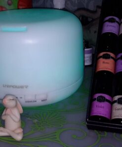 P&J Fragrance Oil Floral Set | Violet, Jasmine, Rose, Lilac, Freesia, and Gardenia Candle Scents for Candle Making, Freshie Scents, Soap Making Supplies, Diffuser Oil Scents 0.34 Fl Oz (Pack of 6) 27 7152W6CWYML