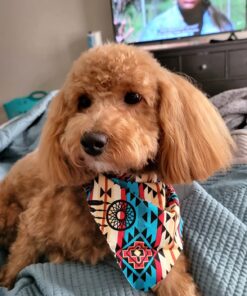 Glandex Anal Gland Soft Chew Treats with Pumpkin for Dogs Digestive Enzymes, Probiotics Fiber Supplement for Dogs Boot The Scoot (Peanut Butter Chews, 30ct) Peanut Butter Chews 32 7154OieKyVL