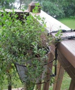 Panacea 89049 Ring Over The Deck Adjustable Flower Pot Holder, Black, 8-Inch 18 7154STO3MjL