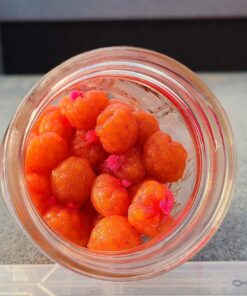 Atlas Mike's Fishing Super Soft Spawn Net 3" X 3" Squares Orange 8 7155J1tITgL