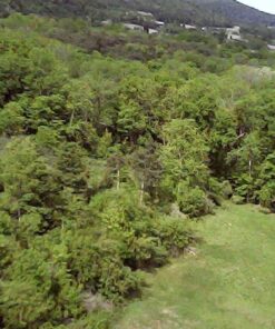 Syma X5C 4 Channel 2.4GHz RC Explorers Quad Copter w/ Camera 17 7156HqpbFLL