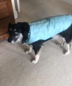 Kurgo Loft Dog Jacket, Reversible Dog Coat, Wear with Harness or Sweater, Water Resistant, Reflective, Winter Coat For Large Dogs (Ink Blue, L) Ink Blue/Seaglass 43 7157aF7slL