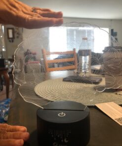 Elstey Brain 3D Night Light Table Desk Lamp, 7 Colors Optical Illusion Touch Control Lights with Acrylic Flat & ABS Base & USB Cable for Christmas Gift 21 7158dG2bFxL