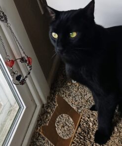 SmartyKat Scratch Up Corrugated Hanging Cat Scratcher, Catnip Infusion Technology - Brown, Single Wide Scratch Up (Catnip Infused) Single Pack 32 7158rvstWoL