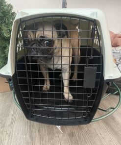 Petmate Pet Porter Fashion Dog Kennel 24", Pale Aqua & Black, for Pets 15-20lbs 24.1"L x 16.7"W x 14.5"H Pale Blue 45 7158shZZKzL