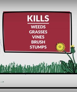 Compare-N-Save 75324 Herbicide, 1-gallon, white 33 7159bb4fgZL