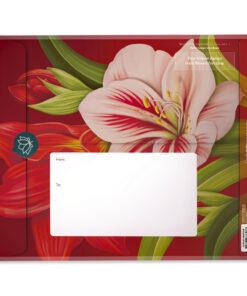 Freshcut Paper Pop Up Cards, Scarlet Amaryllis, 16 inch Life Sized Forever Flower Bouquet 3D Popup Christmas, Winter, Holiday Greeting Cards with Note Card and Envelope - Christmas Decorations 13 715BS2joZnL