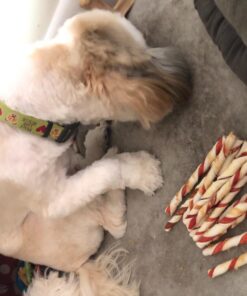 GOOD 'N' FUN Triple Flavor Twist Chews For Dogs, 22-Count 28 715Ch34LDL