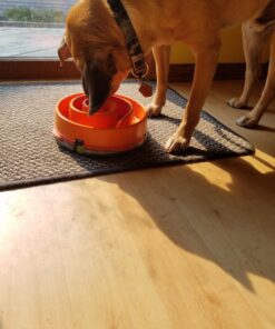 Outward Hound Fun Feeder Slo Bowl, Slow Feeder Dog Bowl, Medium/Mini, Orange 26 715EP9OV06L