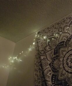 TingMiao Fairy Lights 33ft 100 LED String Lights Battery Operated with Remote Waterproof Copper Wire Lights for Indoor Decorative Lights Warm White 40 715F0fAsqvL