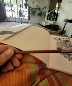 U.S. Art Supply 50 Piece Adult Coloring Book Artist Grade Colored Pencil Set -Vibrant Colors, Smooth Art Drawing, Sketching, Shading, Blending - Fun Activities for Kids, Students, Adults, Beginners 50 Pencil Set 33 715LaTbjBfL