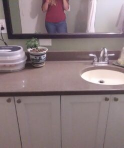 HBlife Digital Egg Incubator for Hatching 9-12 Chicken, Quail and Duck Eggs, with Fully Automatic Egg Turning and Temperature Display, Hatcher for Turkeys, Birds, Parrots and Poultry 45 715MoZcEv9L